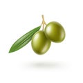 Green Olives Branch with Leaves on White Background Royalty Free Stock Photo