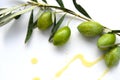 Green olives branch with rain drops. Royalty Free Stock Photo