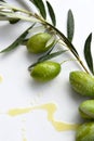 Green olives branch with rain drops, wet, isolated on white background with shadows. Royalty Free Stock Photo