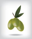 Green olives illustration