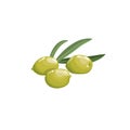 Green olives with leaves in cartoon style. Flat simple design element for packaging, logos and other olive products. Vector illus