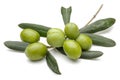 Green olives with leaves isolated on white Royalty Free Stock Photo