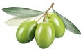 Green olives with leaves on a white background. Royalty Free Stock Photo