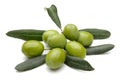 Green olives and leaves on white background Royalty Free Stock Photo