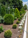 green Olya with different trees and white flowers