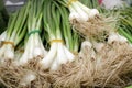 Green onion with chives. Fresh salad onions. Organic vegetables and herbs on a farmer market. Scallions. Royalty Free Stock Photo