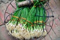 Green onion with chives Royalty Free Stock Photo