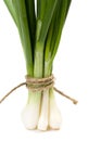 Green onion (Food and health concept) with space f Royalty Free Stock Photo