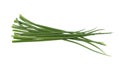 Green onion herb. Fresh onion. Chives bunch. Royalty Free Stock Photo