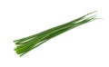 Green onion herb. Fresh onion. Chives bunch. Royalty Free Stock Photo