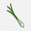 Green onion icon, cartoon style Royalty Free Stock Photo