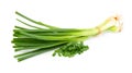 Green onion isolated on white Royalty Free Stock Photo