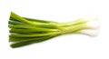 Green onion isolated