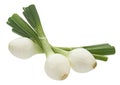 Green onion isolated on white background with clipping path Royalty Free Stock Photo