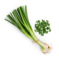 Green onion isolated on white background, flat lay Royalty Free Stock Photo