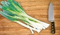 Green onion and knife on cutting board isolated Royalty Free Stock Photo