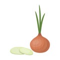 Green onion with leaves.Burgers and ingredients single icon in cartoon style vector symbol stock illustration. Royalty Free Stock Photo