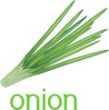 Green onion leaves with title on white background