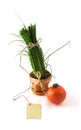 Green onion in pot with card Royalty Free Stock Photo