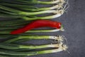 Green onion and red pepper on dark grey table flat lay