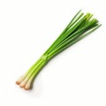 Minimalist Green Onion: Xbox 360 Graphics Inspired Royalty Free Stock Photo