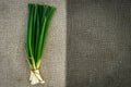 Green onion on sacking