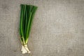 Green onion on sacking