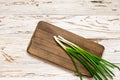 Board cooking kitchen green onion vintage background copy space