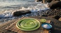 Green Onion Spiral with Lime and Salt on Seaside Rocks, A Culinary Theme Royalty Free Stock Photo