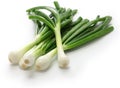Green onion, spring onion Royalty Free Stock Photo