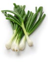 Green onion, spring onion Royalty Free Stock Photo