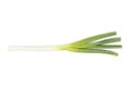 Green onion, spring onion, scallion isolated on white background Royalty Free Stock Photo