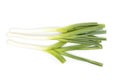 Green onion, spring onion, scallion isolated on white background Royalty Free Stock Photo