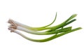 Green onions Royalty Free Stock Photo