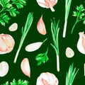 Garlic, cilantro and green onions.Watercolor illustration.Isolated on a green background.For design. Royalty Free Stock Photo