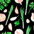Garlic, cilantro and green onions.Watercolor illustration.Isolated on a black background.For design. Royalty Free Stock Photo