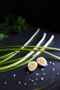 Green onions feathers, quail agg and coarse sea salt on a black stone surface, low key Royalty Free Stock Photo