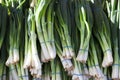 Green onions, fresh bundles lay on the counter of a village market.