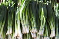 Green onions, fresh bundles lay on the counter of a village market.