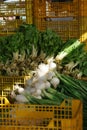 Green onions lie on yellow plastic boxes in the market, the sun ray illuminates white bulbs with roots Royalty Free Stock Photo