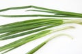Green onions over white Royalty Free Stock Photo