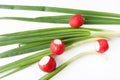 Green onions over white background Royalty Free Stock Photo