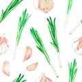 Garlic and green onions. Watercolor vintage illustration.Isolated on a white background.For design. Royalty Free Stock Photo