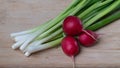 green onions and radishes close-up on a wooden background