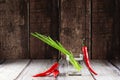 Green onions and red hot chilli peppers in glass of water Royalty Free Stock Photo