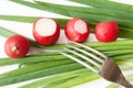 Green onions, red radish over white Royalty Free Stock Photo