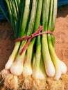 Green onions spring onion bunch of raw scallions fresh vegetable food green leaves bundle of hara piyaz oignon vert photo