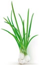 Green onions