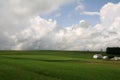 Green Open Farmland Royalty Free Stock Photo
