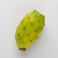 Green opuntia cactus or prickly pear on white background. Royalty Free Stock Photo